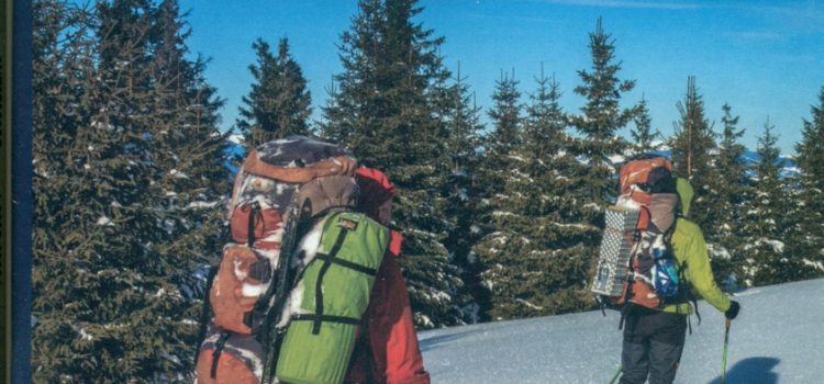 Revista România pitorească nr. 491 ● 2017